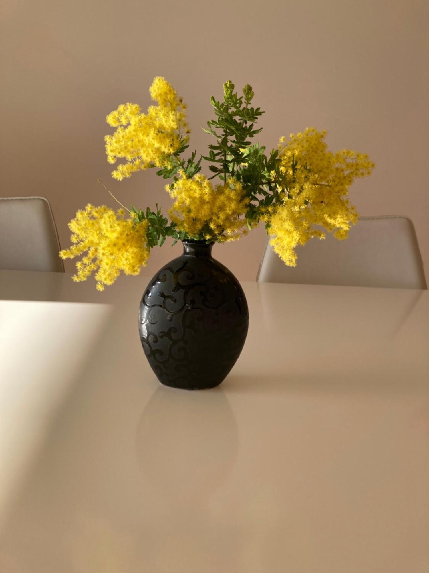 Apartament Les Palmiers Saint-Cyr-sur-Mer Zewnętrze zdjęcie