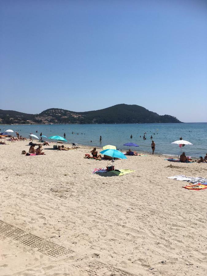 Apartament Les Palmiers Saint-Cyr-sur-Mer Zewnętrze zdjęcie